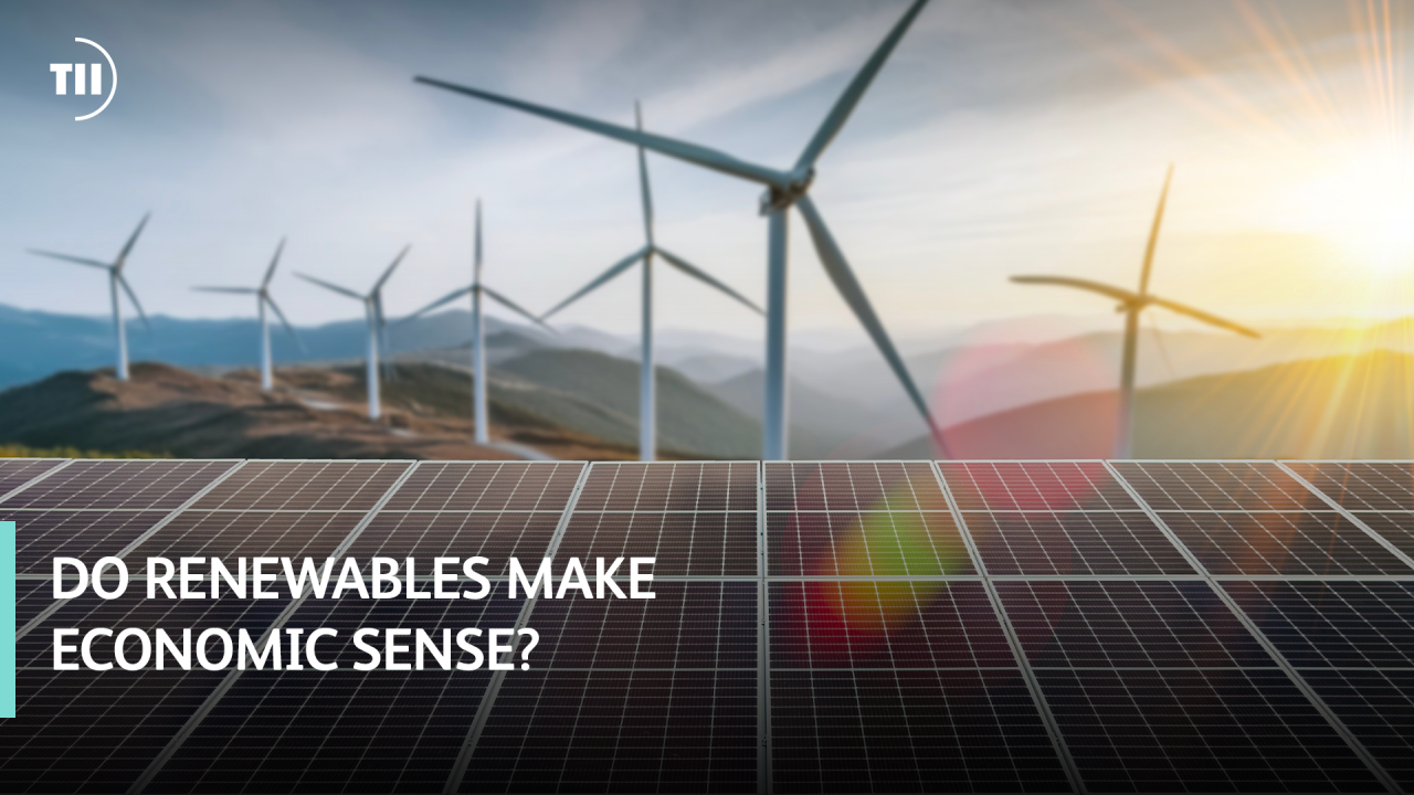 Do Renewables make economic sense?
